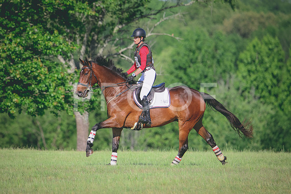 RWP_9431