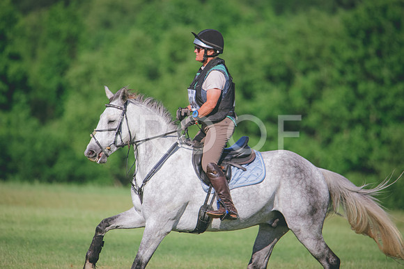 RWP_9446