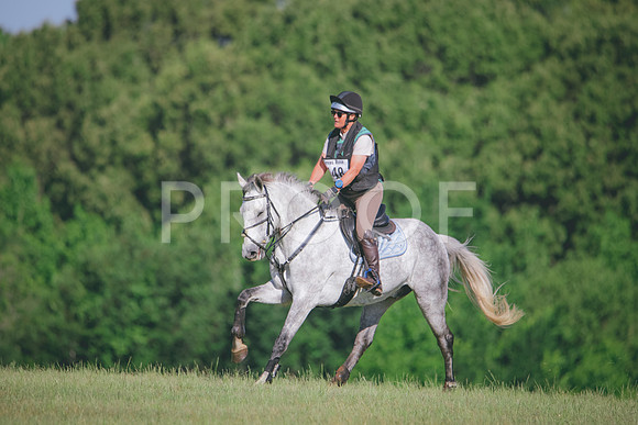 RWP_9443