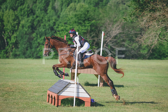 RWP_9496