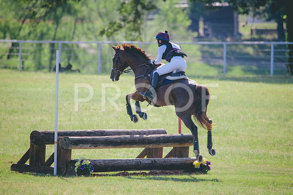 RWP_9499