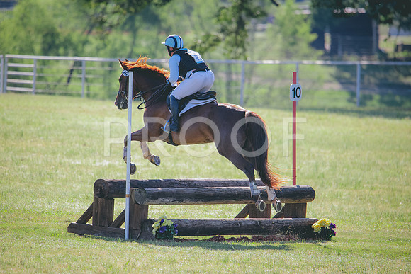RWP_9288