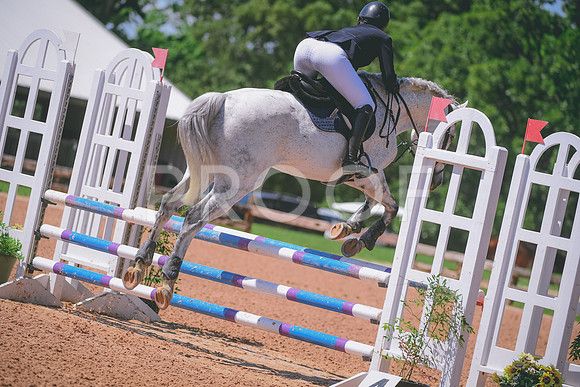 DSC_6081