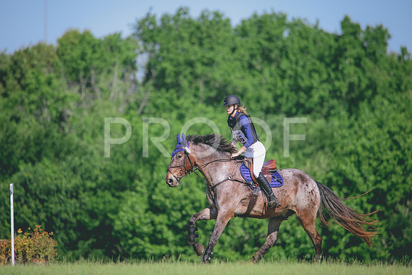 RWP_9719