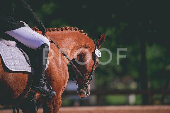 RWP_9539