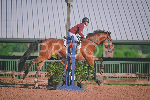 DSC_4336