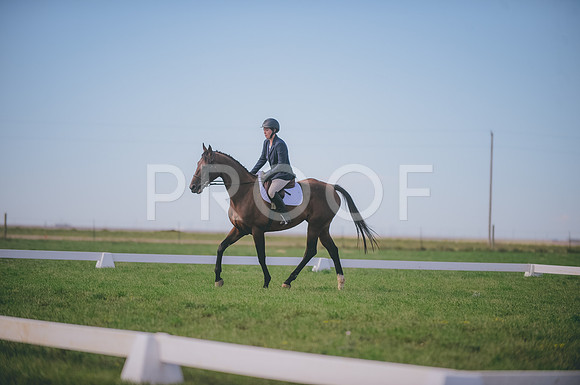 JJS_1646