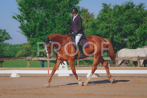 BYR_4021