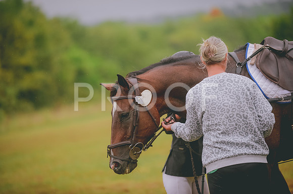 JJS_3989