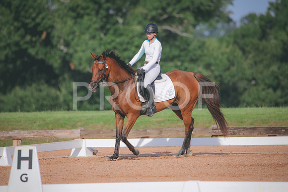 RWP_4459