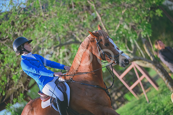 DSC_4660