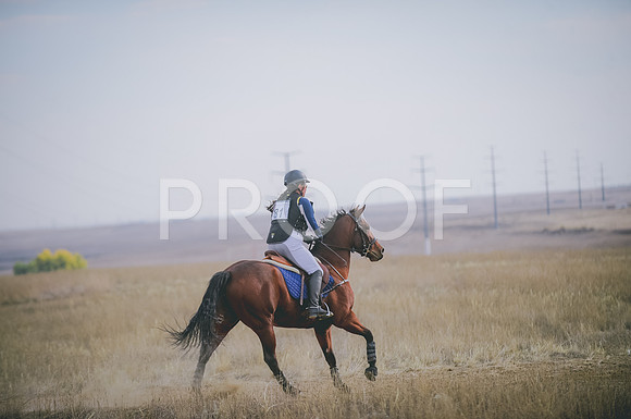 JJS_3450A