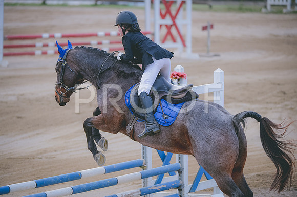 JJS_2915