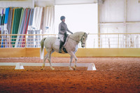 DSC02195