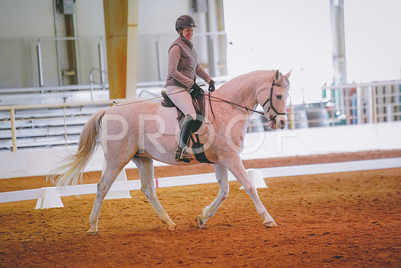 DSC02201