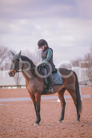 IMG_8301
