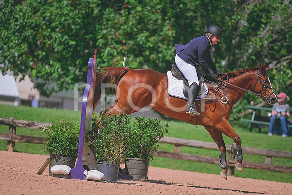DSC_9346