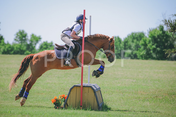 RWP_8574