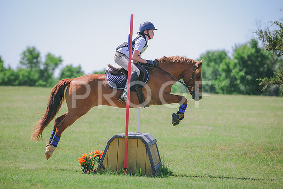RWP_8575