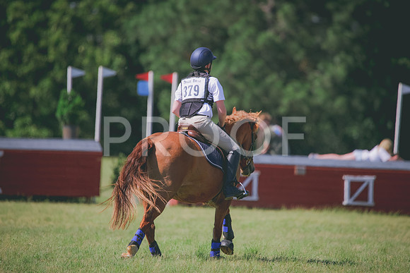 RWP_8577