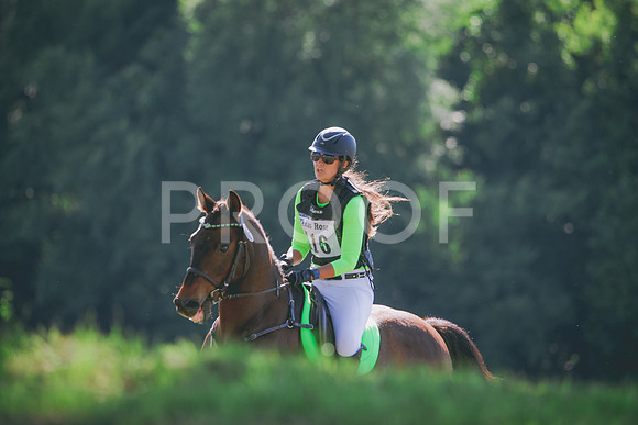 RWP_8904