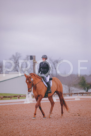 IMG_4305
