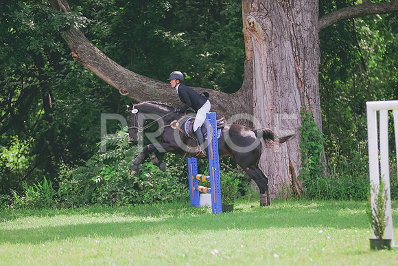 PR9_6721