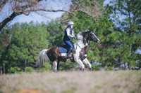 Novice