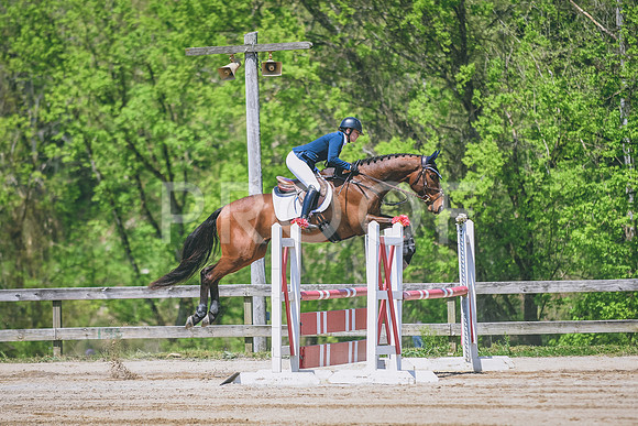DSC_0972