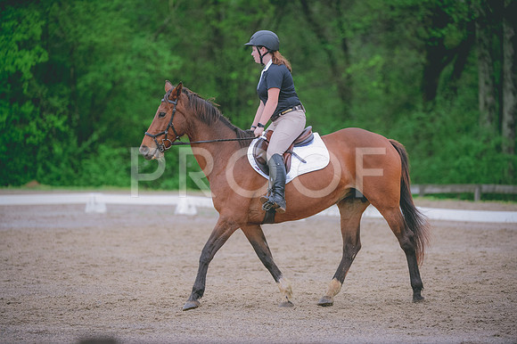 JJS_1168