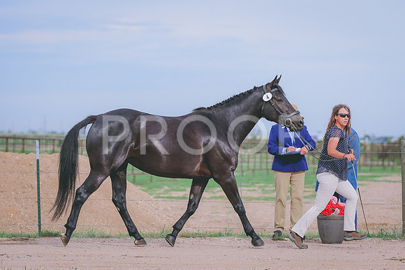 BYR_1459
