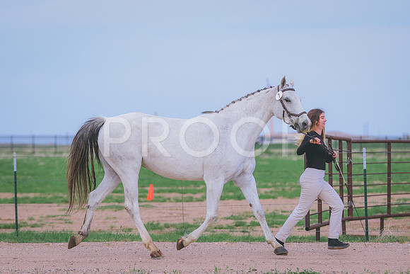 BYR_9642
