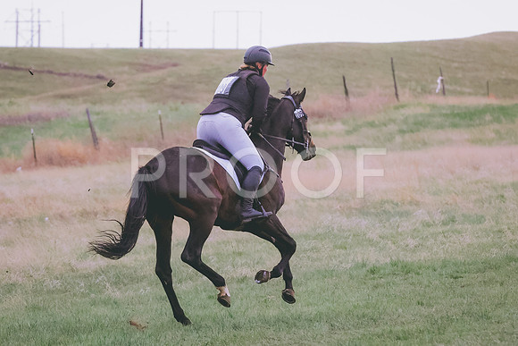 BYR_0362