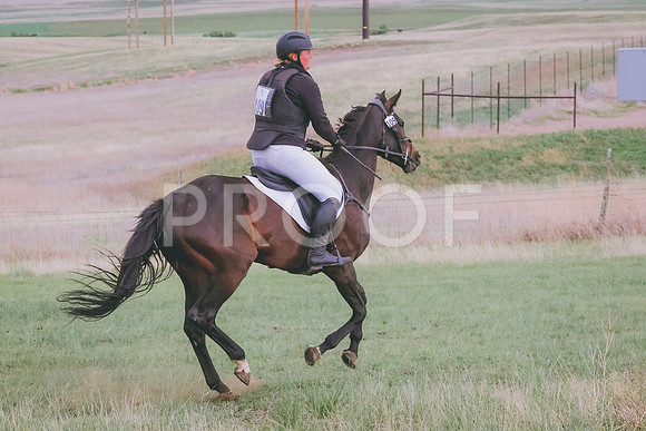 BYR_0304