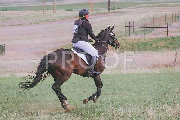 BYR_0303
