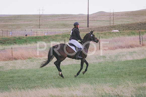 BYR_0316