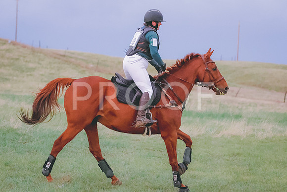 BYR_0782