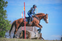 Mollie Bradle/Just Past Friday