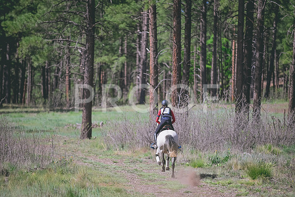 DSC_8805