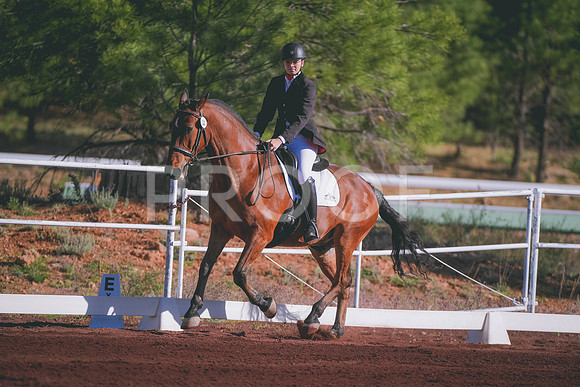 DSC_0969 copy