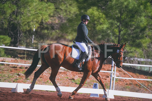 DSC_1785 copy