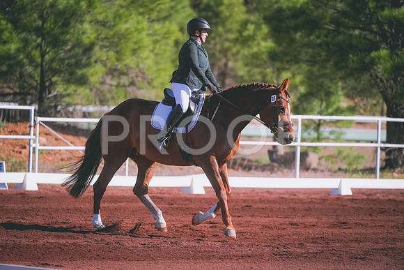 DSC_1829 copy