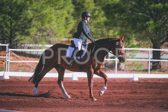 DSC_1830 copy