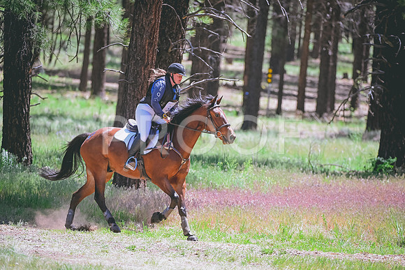 DSC_0578