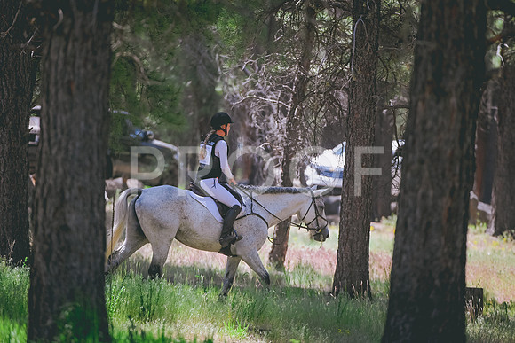 DSC_0010