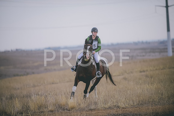 JJS_4240