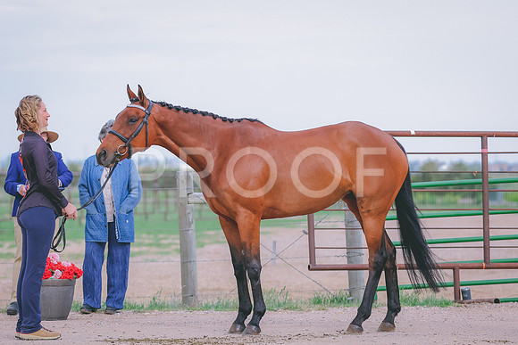 BYR_0332