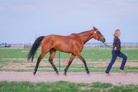 BYR_0483