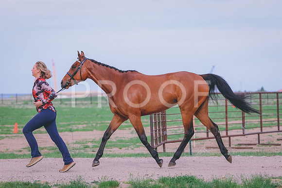 BYR_0387