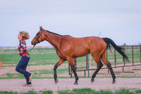 BYR_0384